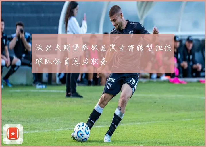 沃尔夫斯堡降级后黑金将转型担任球队体育总监职务
