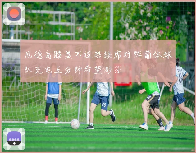 厄德高膝盖不适恐缺席对阵葡体球队充电五分钟希望渺茫