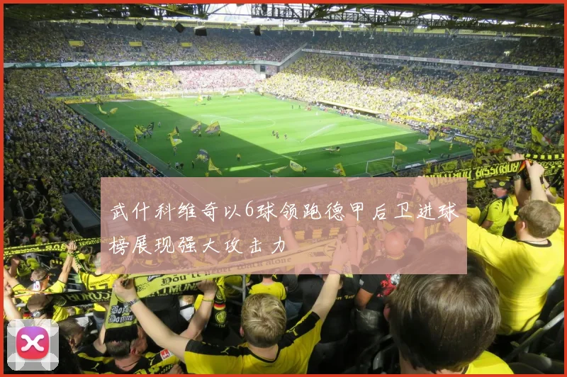 武什科维奇以6球领跑德甲后卫进球榜展现强大攻击力
